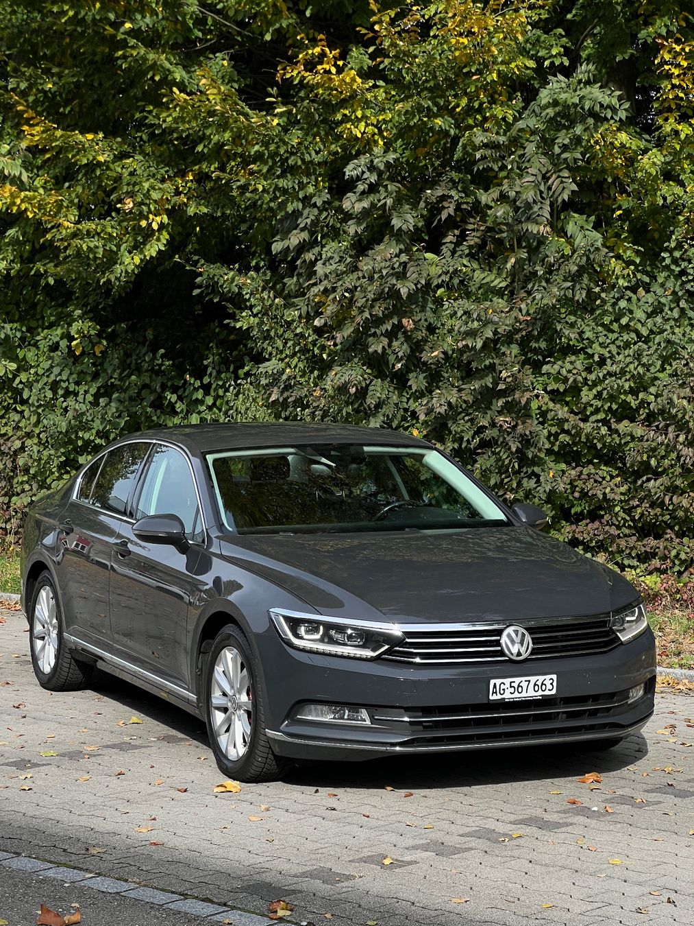 VW Automobili: FRISCH MFK VW PASSAT B8 2.0 TDI – Usato da Wohlen AG venduto da nin_q8z2
