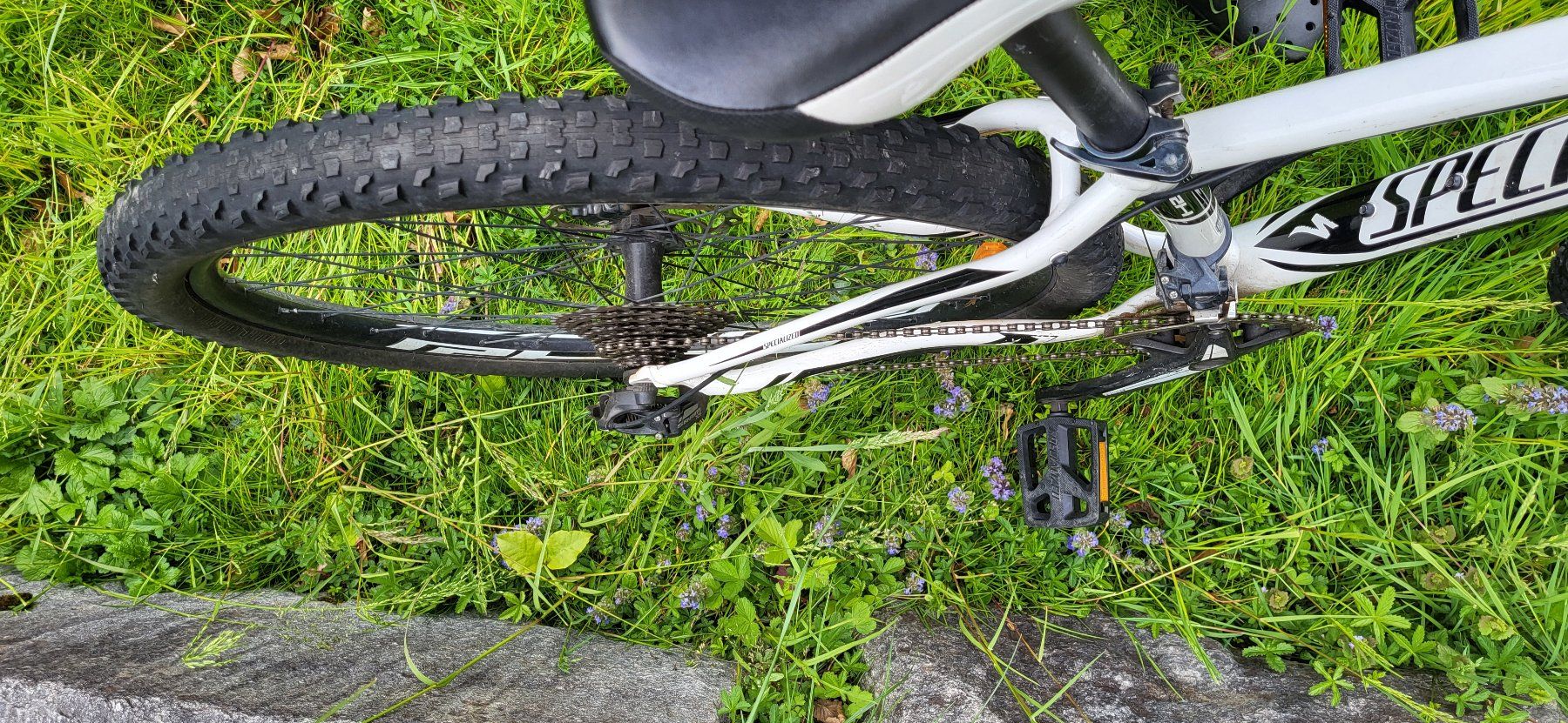 Specialized Velos: Specialized Rockhopper – Gebraucht aus Horw von  3