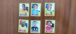 6 Panini Sticker 