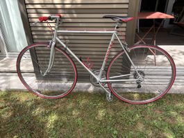 peugeot stadtvelo