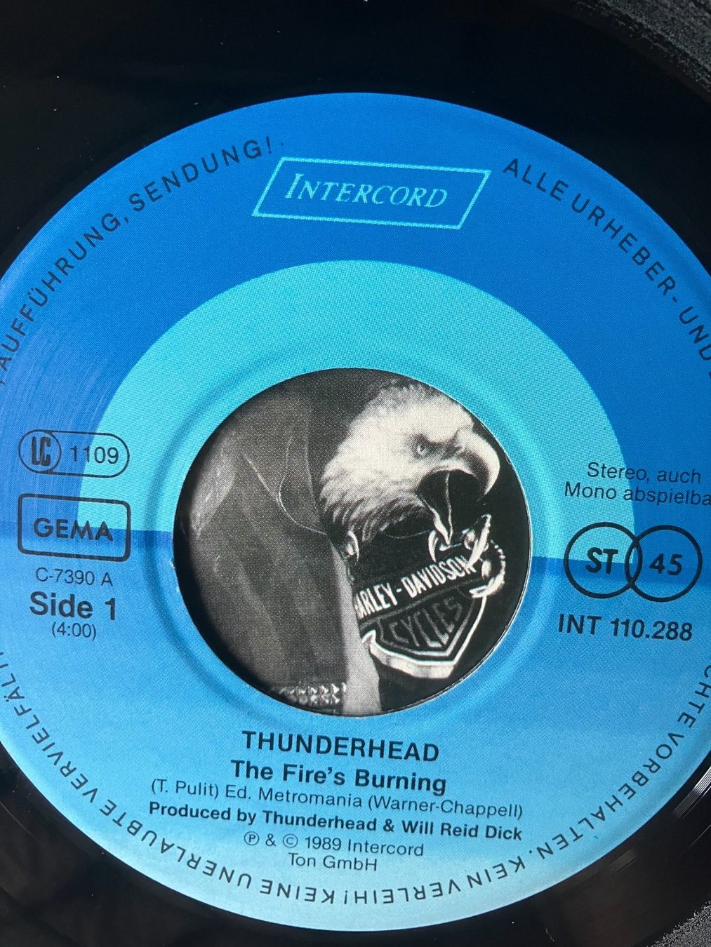 Dischi in vinile: Thunderhead – Usato da Aarwangen venduto da Jukebox3 6