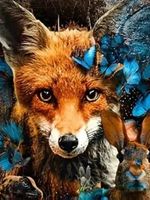 Diamond Painting Fuchs-63-30x40-825