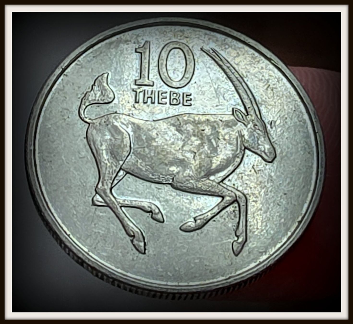 Tutti le monete: BOTSWANA 10 THEBE 1980 – Usato da winterthur venduto da CoinPassion
