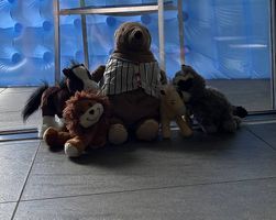 Plüschtiere Pferde Waschbär Löwe und Bär