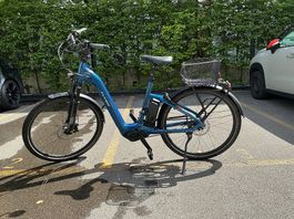 E-Bike Flyer neuwertig