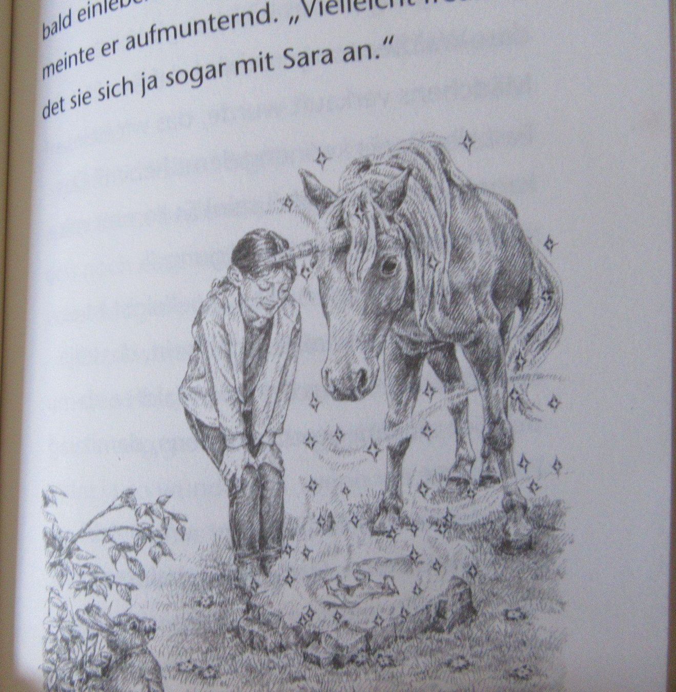 Libri: Kinderbuch " Eine Freundin für Waldfee " – Usato da Rüdtligen venduto da Carfield04 2