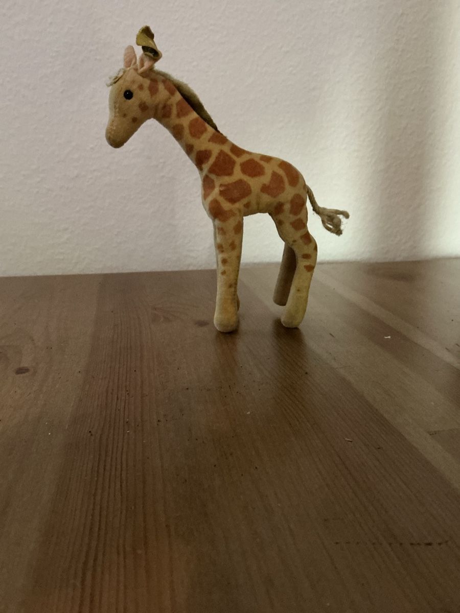 Steiff Giocattoli: Steiff Giraffe Nr 6414 – Usato da Basel venduto da Ajscha7o1 3