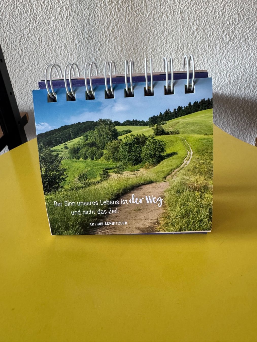 Calendari: Kalender Buch Schutzengel Geschenk – Usato da Steffisburg venduto da smocky17 2