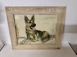Fritz Hug Lithografie Schäferhund Bilderrahmen signiert 1967