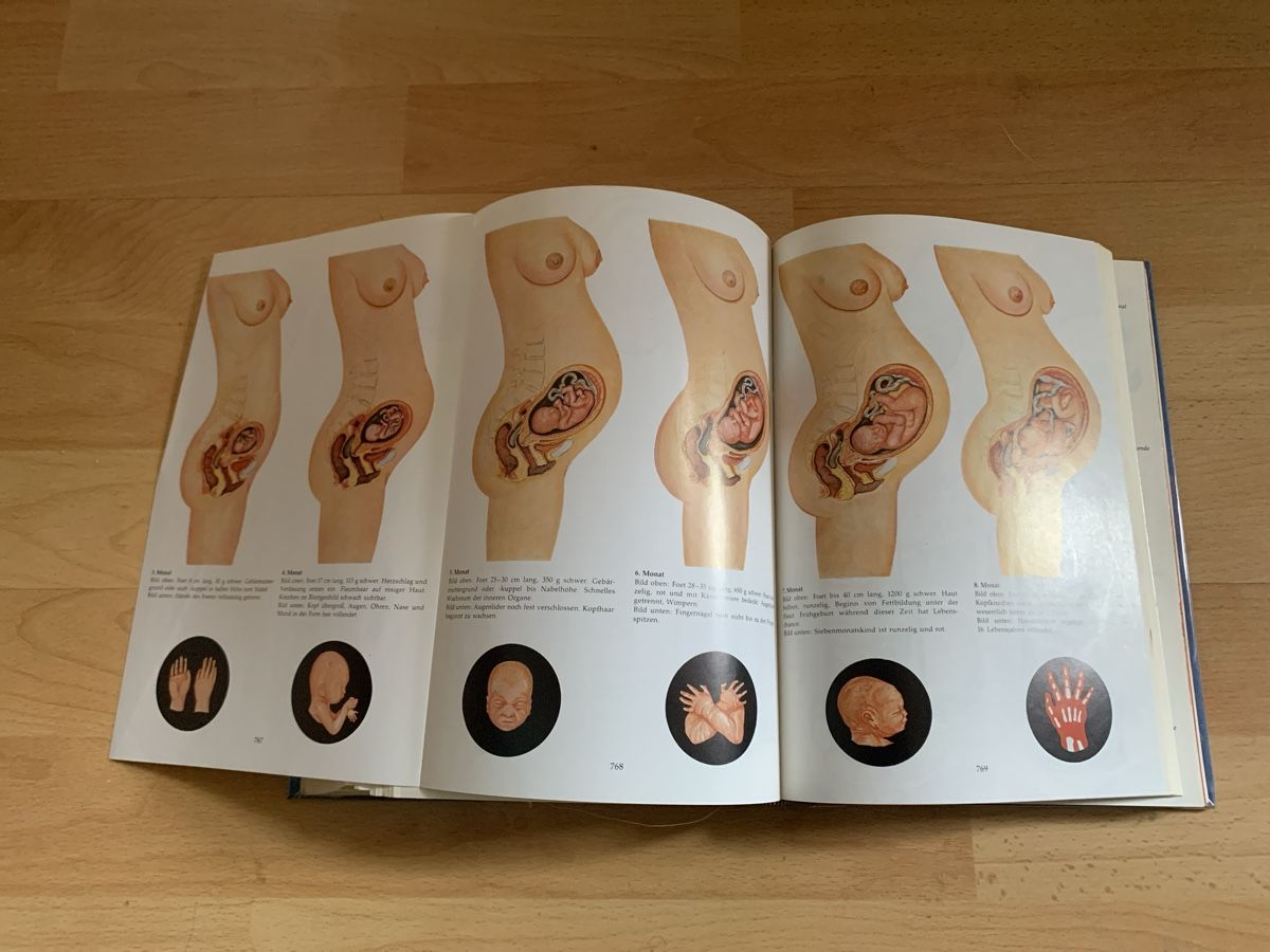 Libri: Das grosse Reader's Digest Gesundheits-Buch, Top Zustand! – Usato da Laufen venduto da Nivo33 3