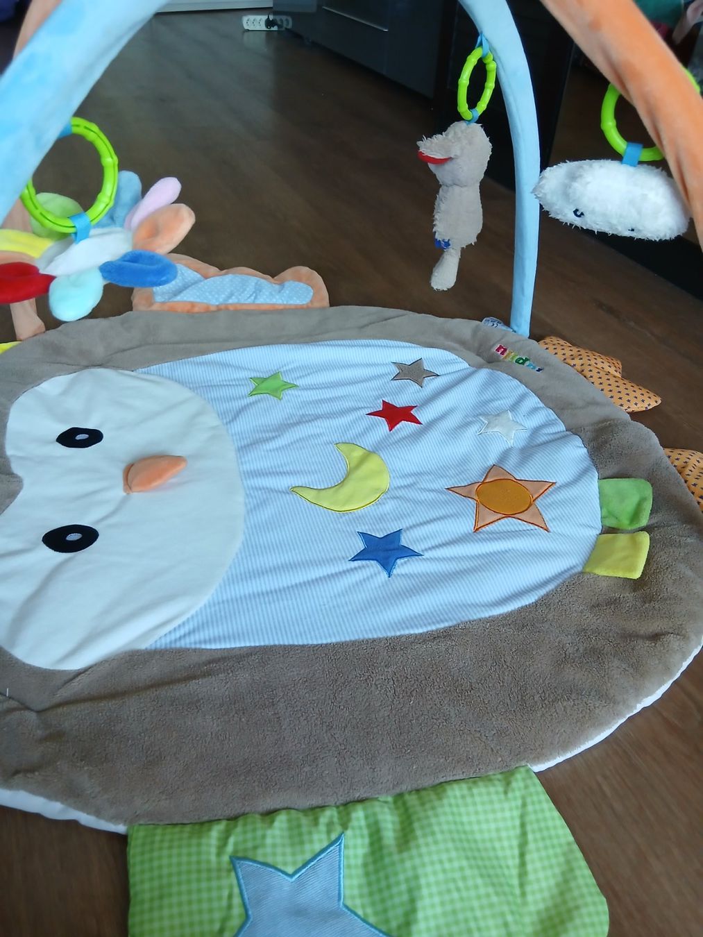 Lupilu Spielmatte: Spielmatte/ Baby Activity Decke – Gebraucht aus Bronschhofen von magda_m 2