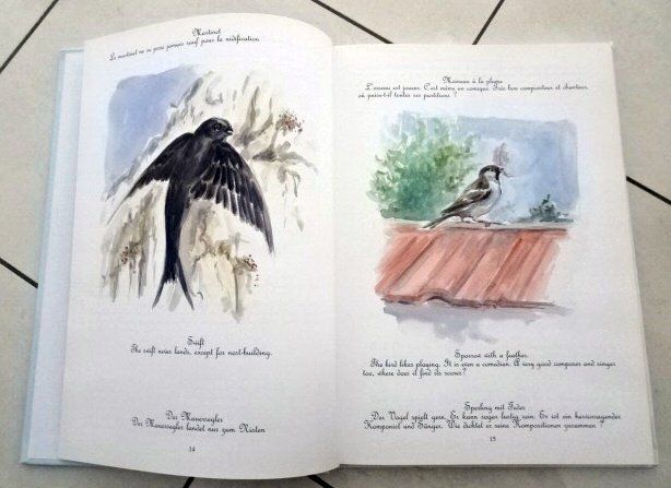 Bücher: Le ballet des oiseaux Vogelreigen – Gebraucht aus Wetzikon ZH von strubeli024 4