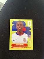 Panini USA 12