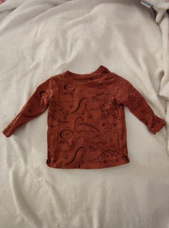 Baby Pullover Dino