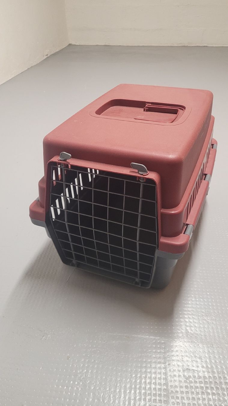 Gabbie, trasporto & Sicurezza: chat – Usato da Bernex venduto da zaz_vbl9 1