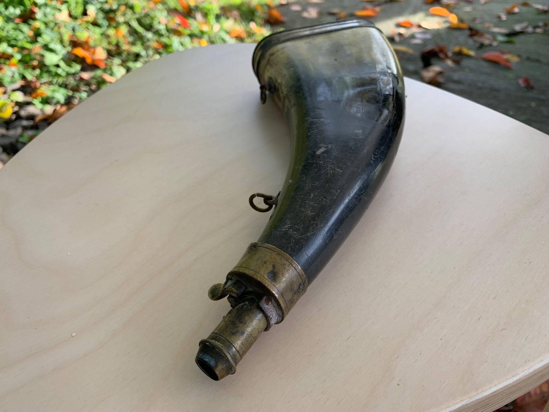 Il mondo degli animali: antikes Pulverhorn – Usato da Feldbach venduto da Olive1 2