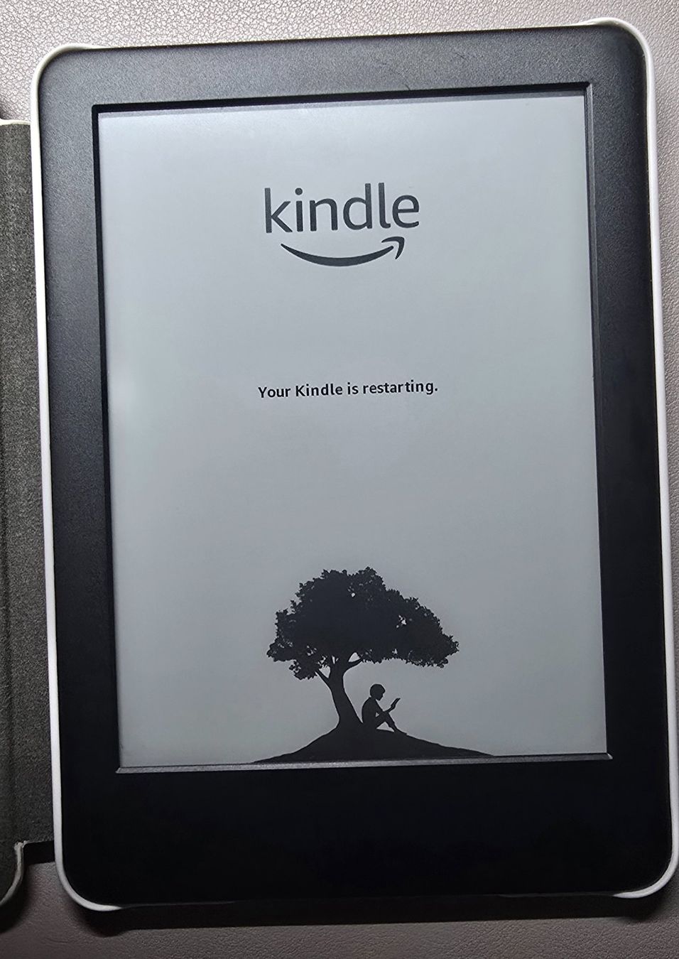 Amazon Tablet PC: Amazon Kindle 10eme Generation 3GB – Usato da Lausanne venduto da Super_IT