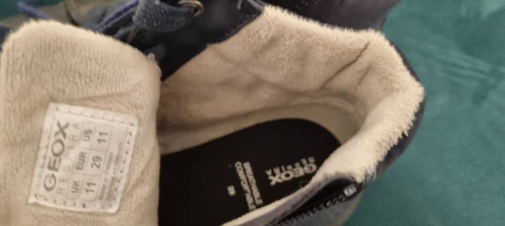 Schuhe für Jungen: Geox Schuhe Sneakers Hightops Gr. 29 – Gebraucht aus Hombrechtikon von goe_f996 1