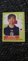 Panini JAP 12