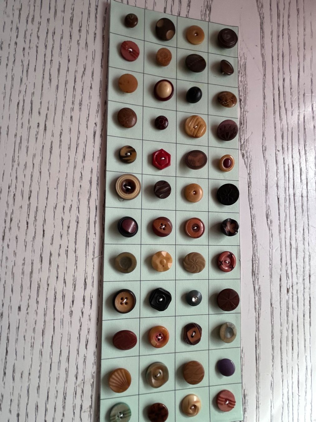 Bottoni: Steinnussknöpfe (Tagua Nut) – Nuovo (secondo la descrizione) da Pfeffingen venduto da Alusru70