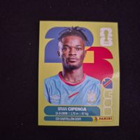 COD 17 Panini FIFA WM 2026