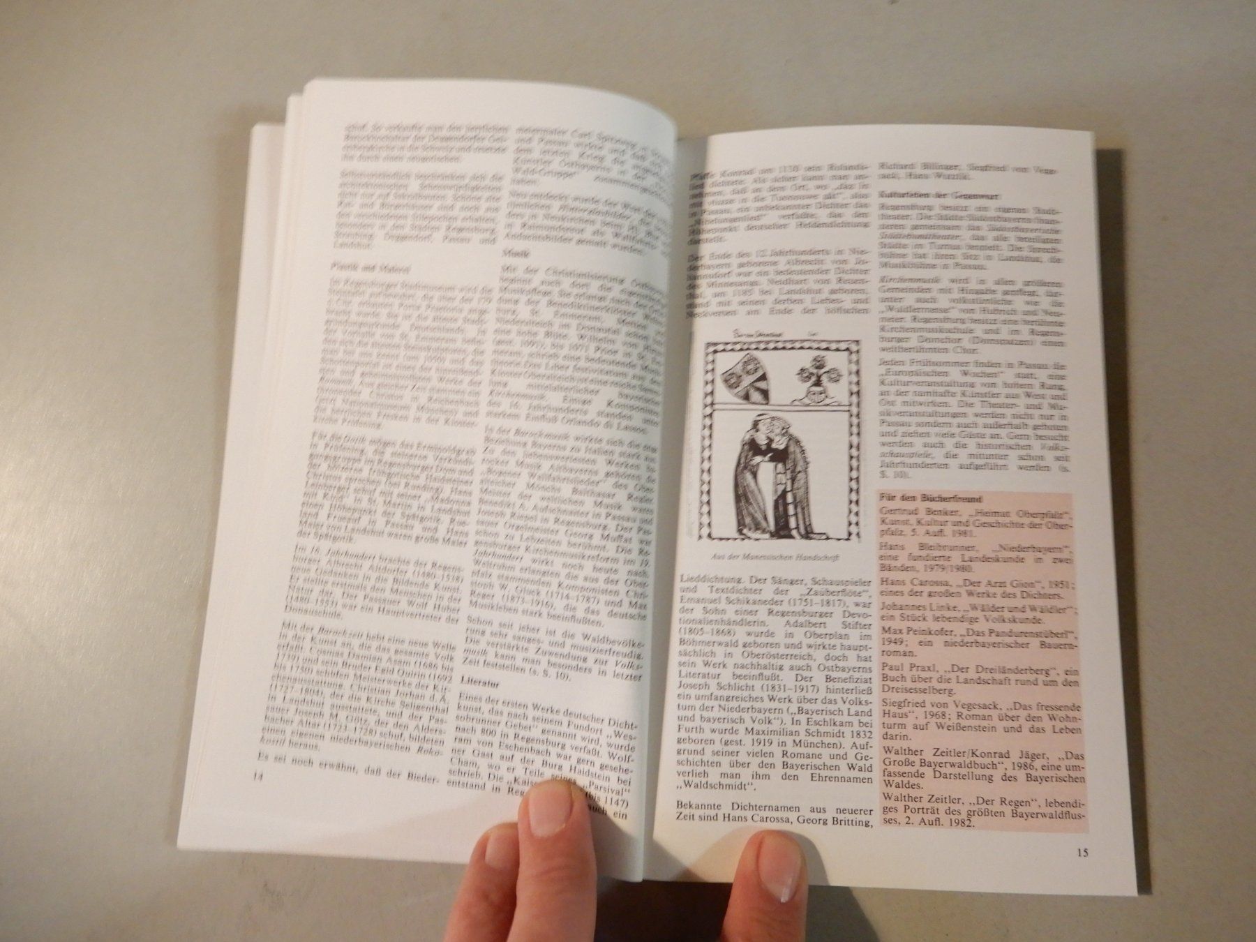 Libri: Reiseführer Bayerischer Wald Donau Polyglott Vintage – Usato da Erstfeld venduto da Mario_boe0 6
