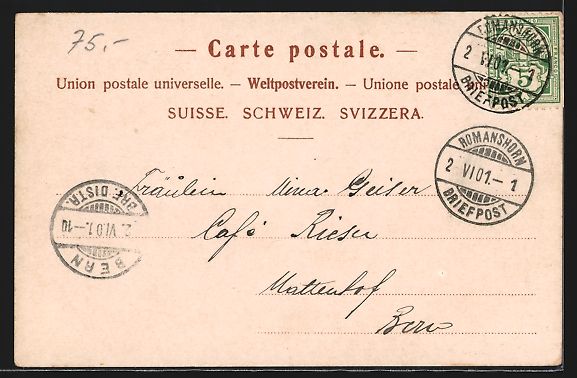 Cartoline postali: Romanshorn, Fahnenweihe 1901 V. S. E. A. – Usato da Berlin venduto da bartko-reher 1