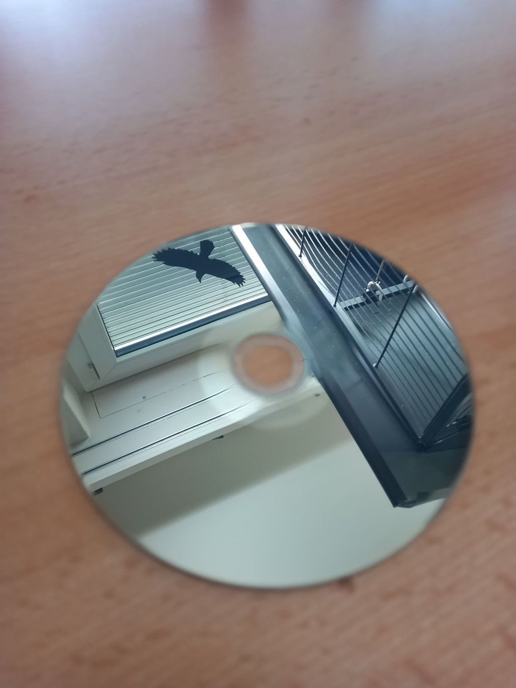 Tutti i DVDs: Blu - ray Death Race / 1 + 2 /Steelbook – Usato da Dübendorf venduto da 13geister 1