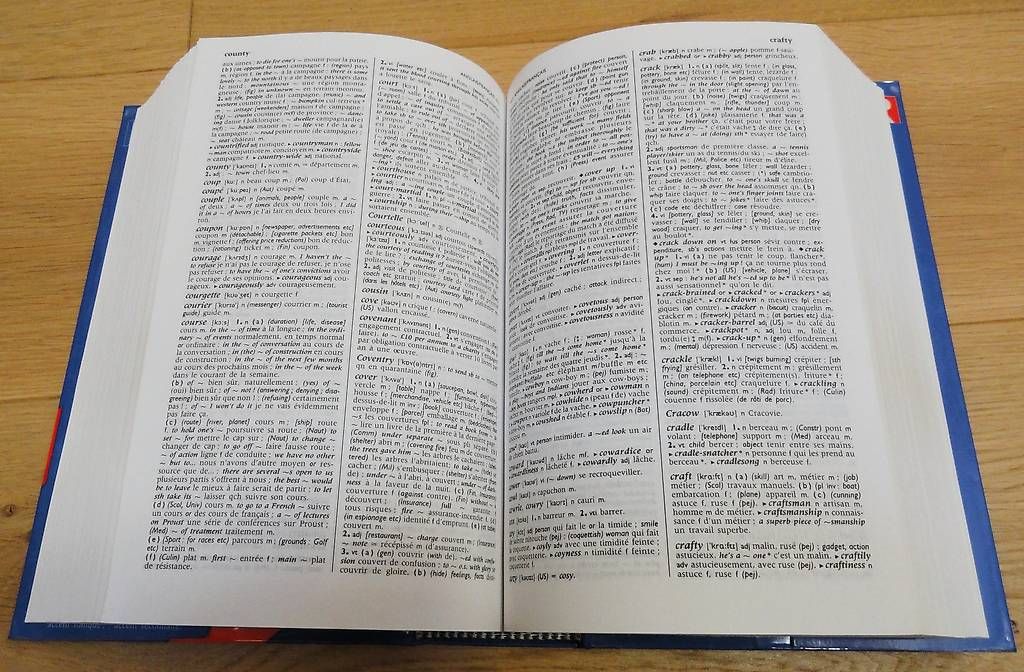 Livres: Dictionnaire français – anglais  📖 – D'occasion à St-Livres par lune_bleue 4