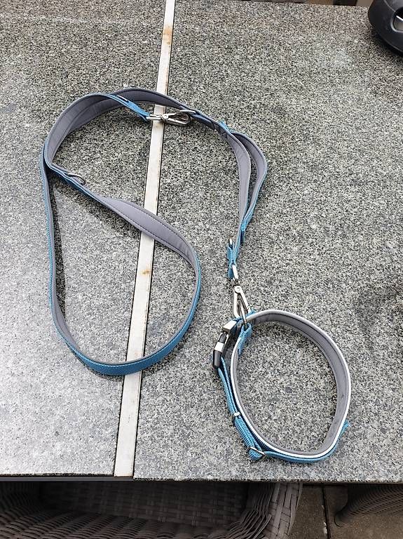Leine & Halsband: Hundeleine mit Halsband – Gebraucht aus Rickenbach LU von trucker.s