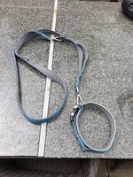 Hundeleine mit Halsband