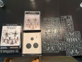Warhammer Age of Sigmar – Start Collecting! Maggotkin of Nur