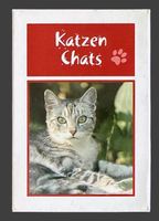 Jeu de cartes Katzen Chats 4 joueurs excellent état