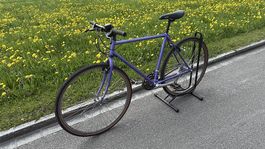 Retro Citybike