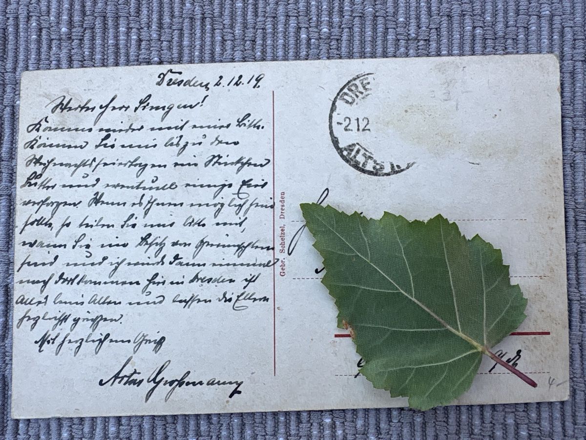 Cartes postales: AK von Dresden  – D'occasion à Rümlang par Brieftaube1 1