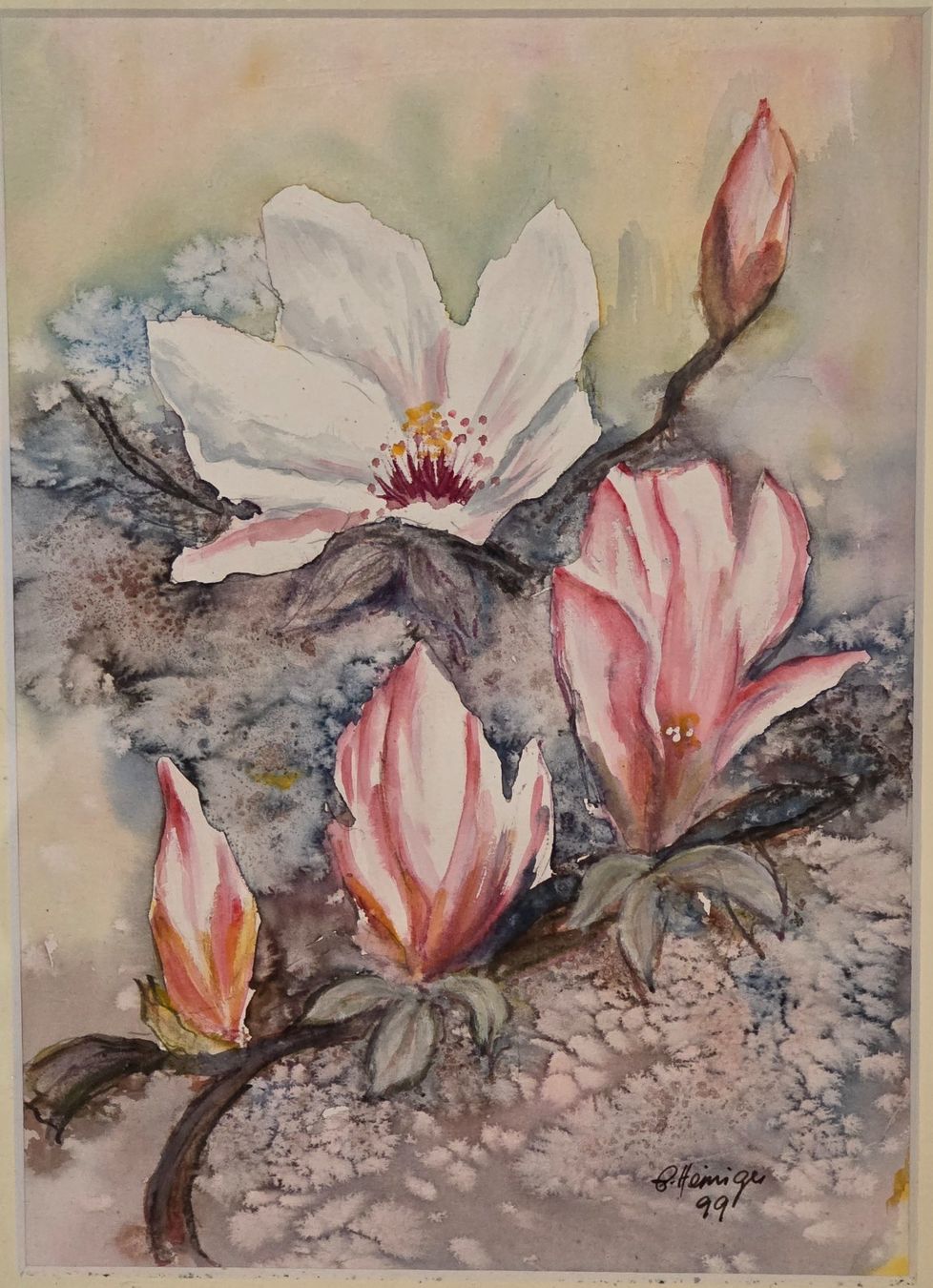 Dipinti: Magnolia Aquarell – Usato da Rohrbach venduto da lod_m58r 1