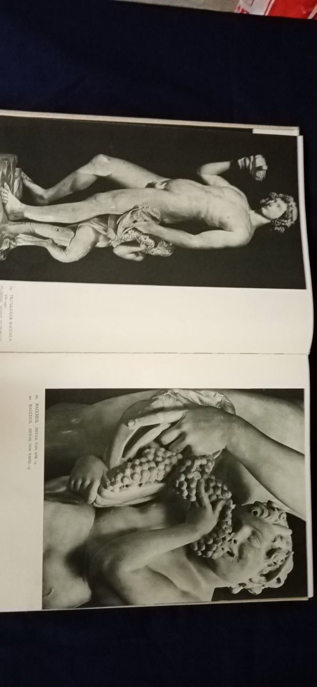 Libri: Michelangelo, Bildband – Usato da Büsingen venduto da Flohminator 4