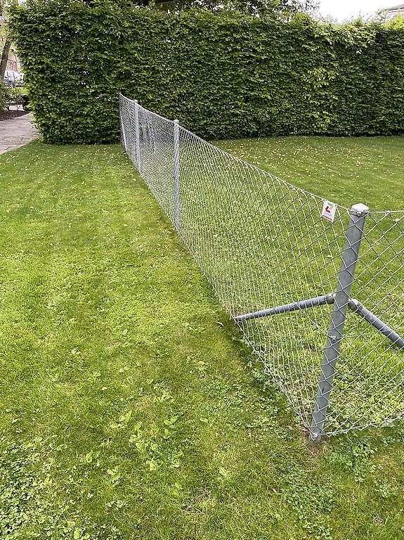 Sichtschutz: Gitterzaun  – Gebraucht aus Herrliberg von svagi 4