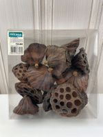 Getrocknete Lotusblumen, Deko Herbst - Micasa