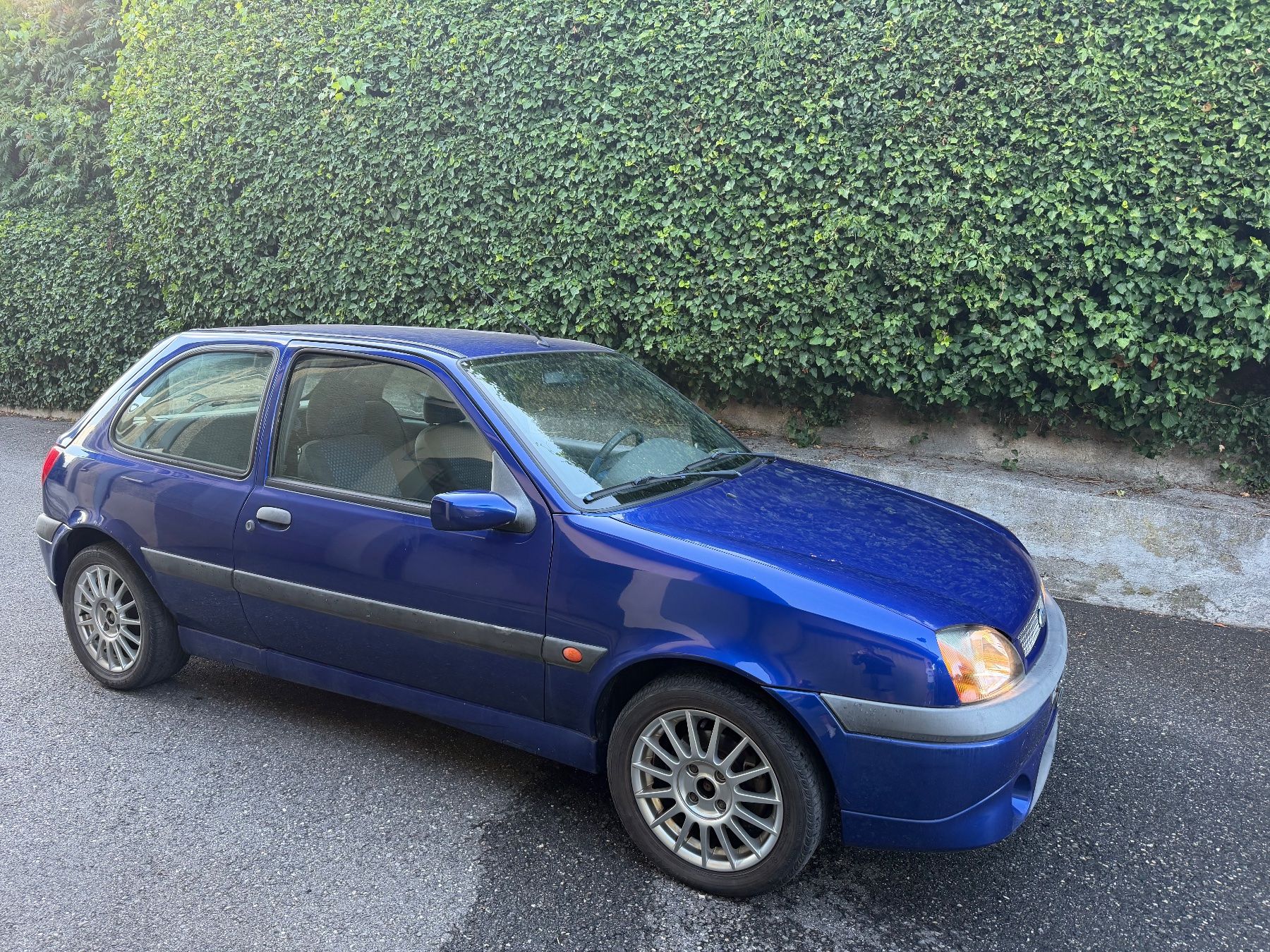 Ford Automobili: Ford Fiesta 1.6 Sport – Usato da Eschen venduto da fio_y5f8 1