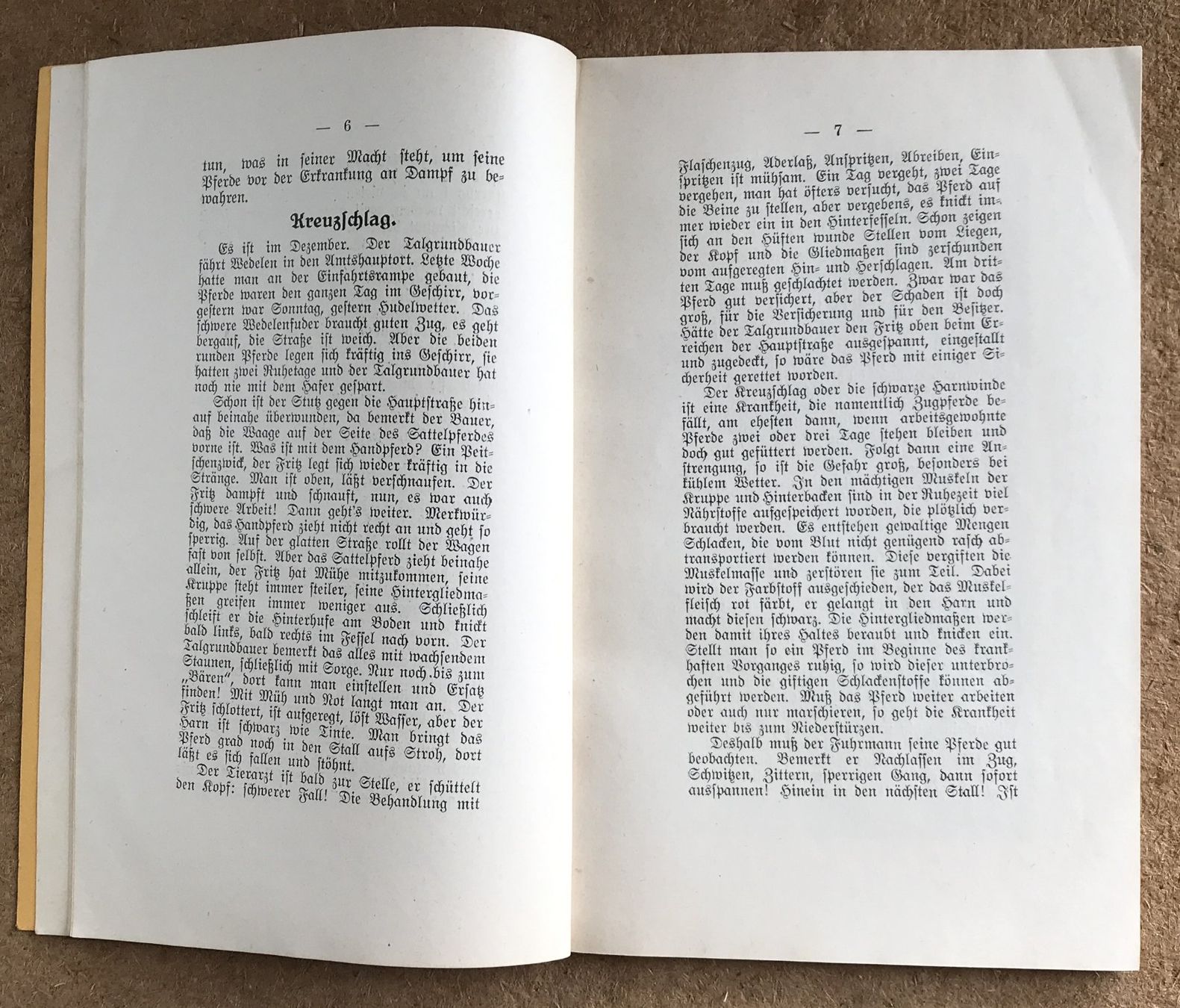 Libri: PFERDEKRANKHEITEN 1937 – Usato da Ostermundigen venduto da Kari1937 4