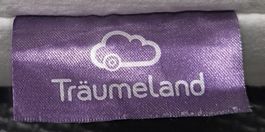 Träumeland Matratzr 120x60 cm sehr guter Zustand
