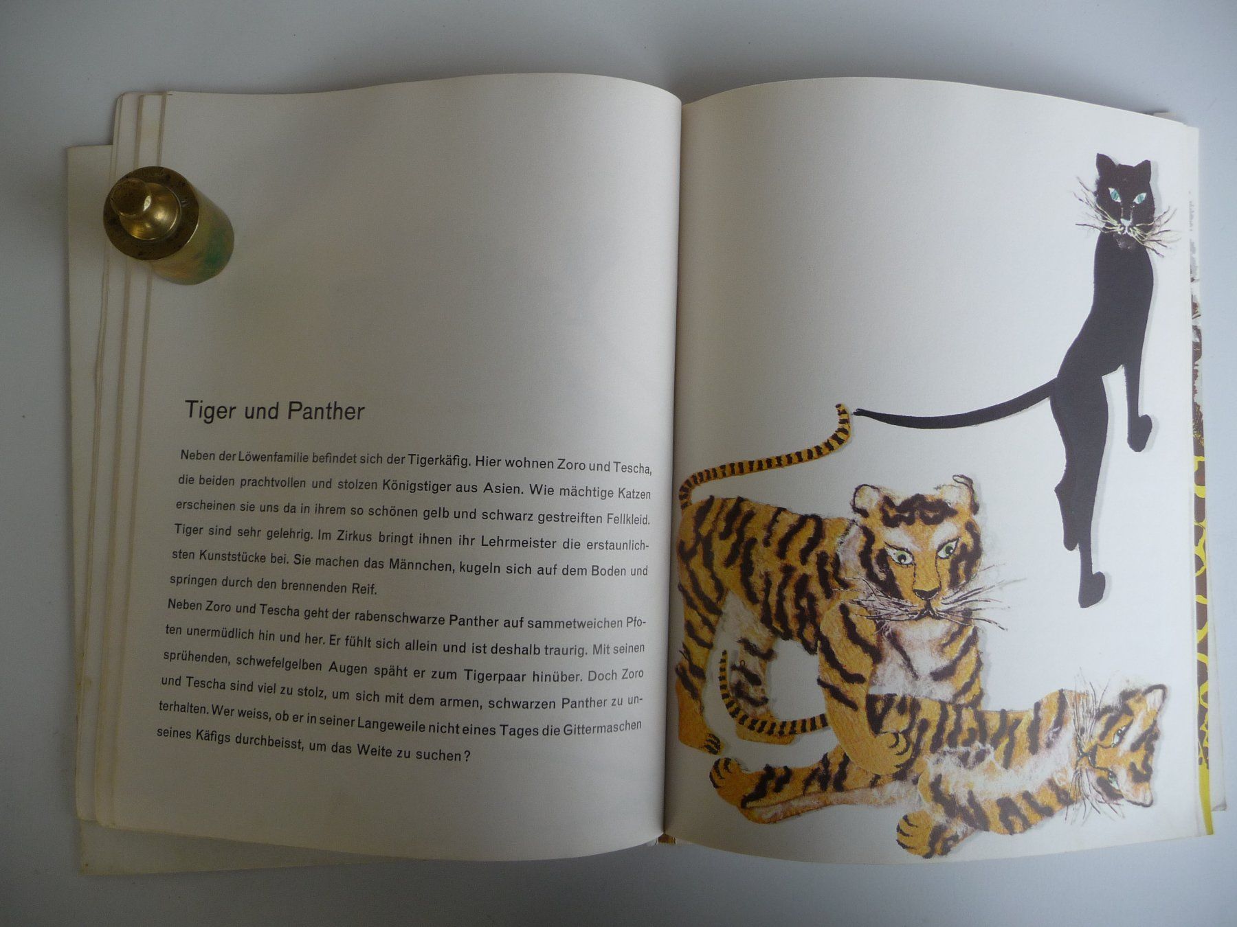 Libri: MARGRIT ROELLI - AUF IN DEN ZOO – Usato da Aesch BL venduto da Imoonlight 3