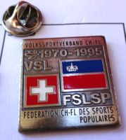 Pin   VOLKSSPORT VERBAND  CH-FL  1970 - 1995