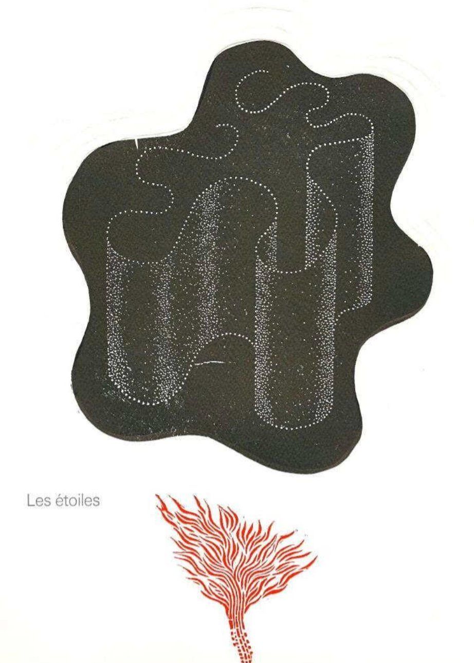 Libri: Air eau terre feu, variations sur les quatre éléments – Nuovo (secondo la descrizione) da Vevey venduto da yve_7dpw 2