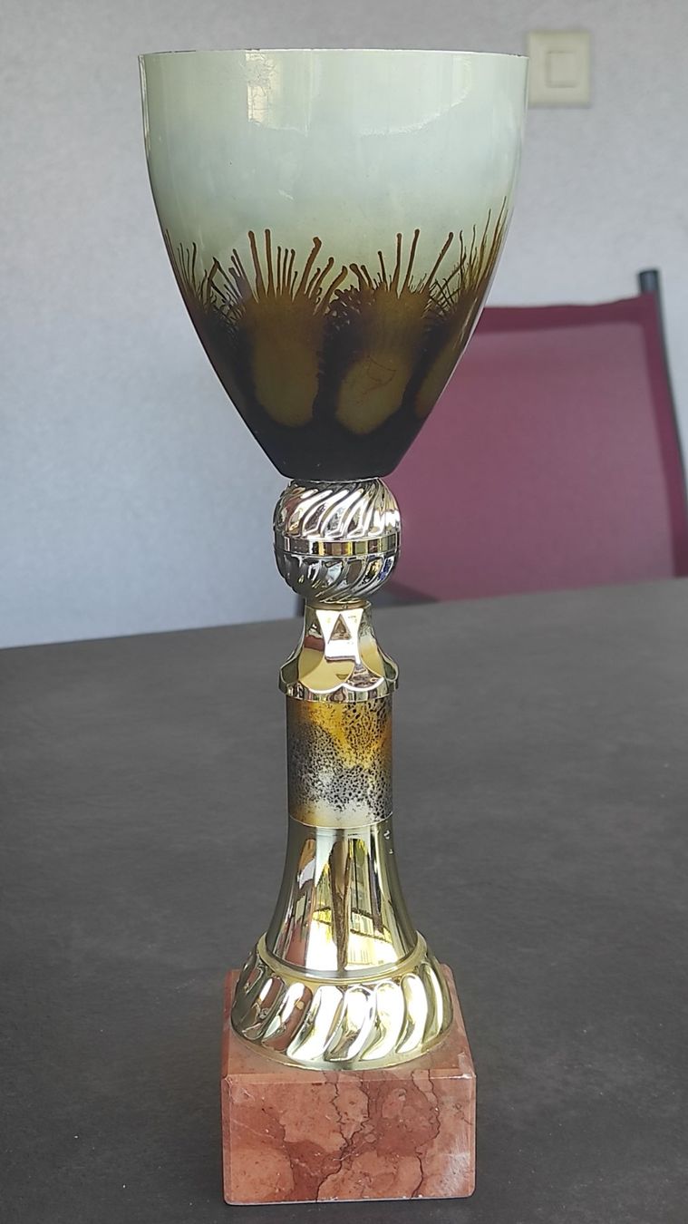 Autres collections & raretés: Pokal – D'occasion à Kreuzlingen par Dennis2004 2