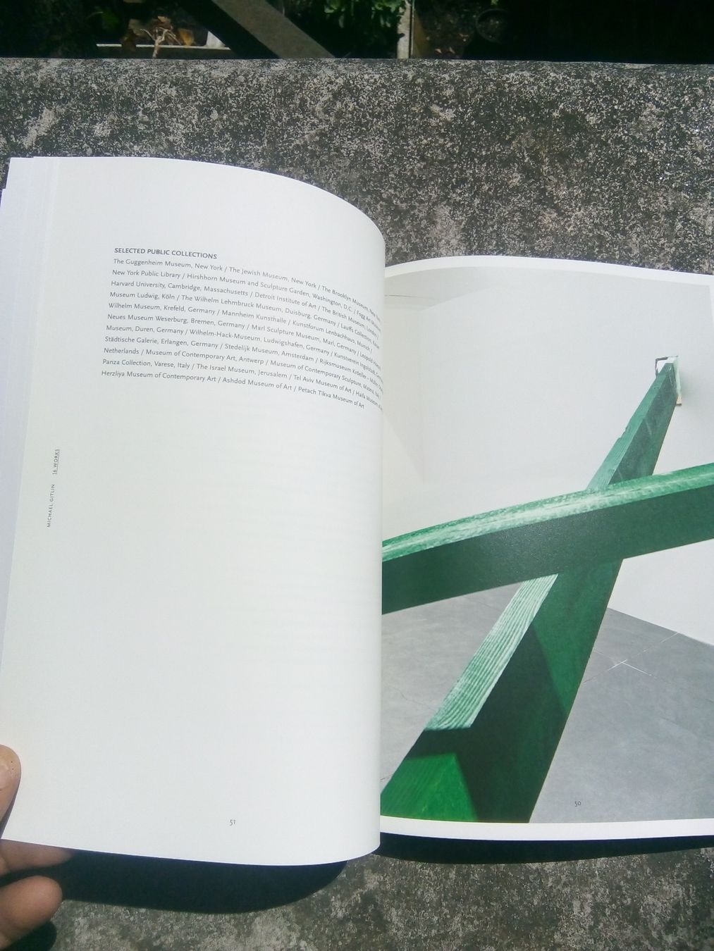 Libri: Michael Gitlin: 16 Works (Kunstbuch)   ©'2014 – Usato da St.Galllen venduto da elkaphone 5