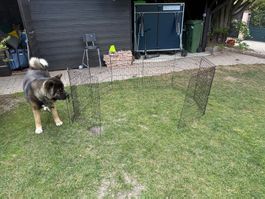 Laufgitter für Hunde 76 cm (8 Seiten je 76 x 61 cm)