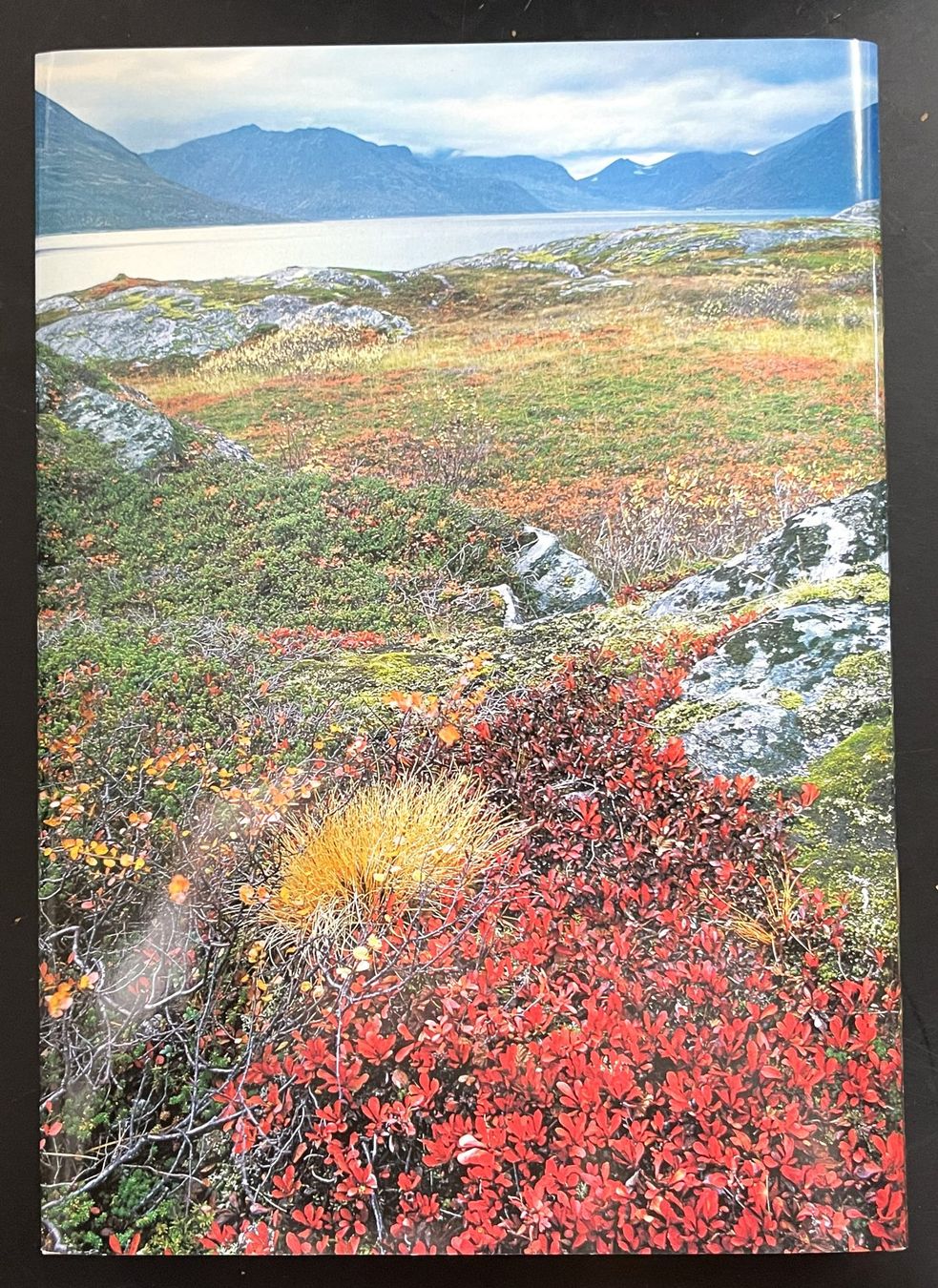 Libri: Silva Verlag, Lappland, 1977 – Usato da Oftringen venduto da Vucki 7