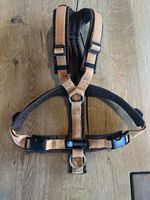 Hundegeschirr von Anny-X in der Grösse S